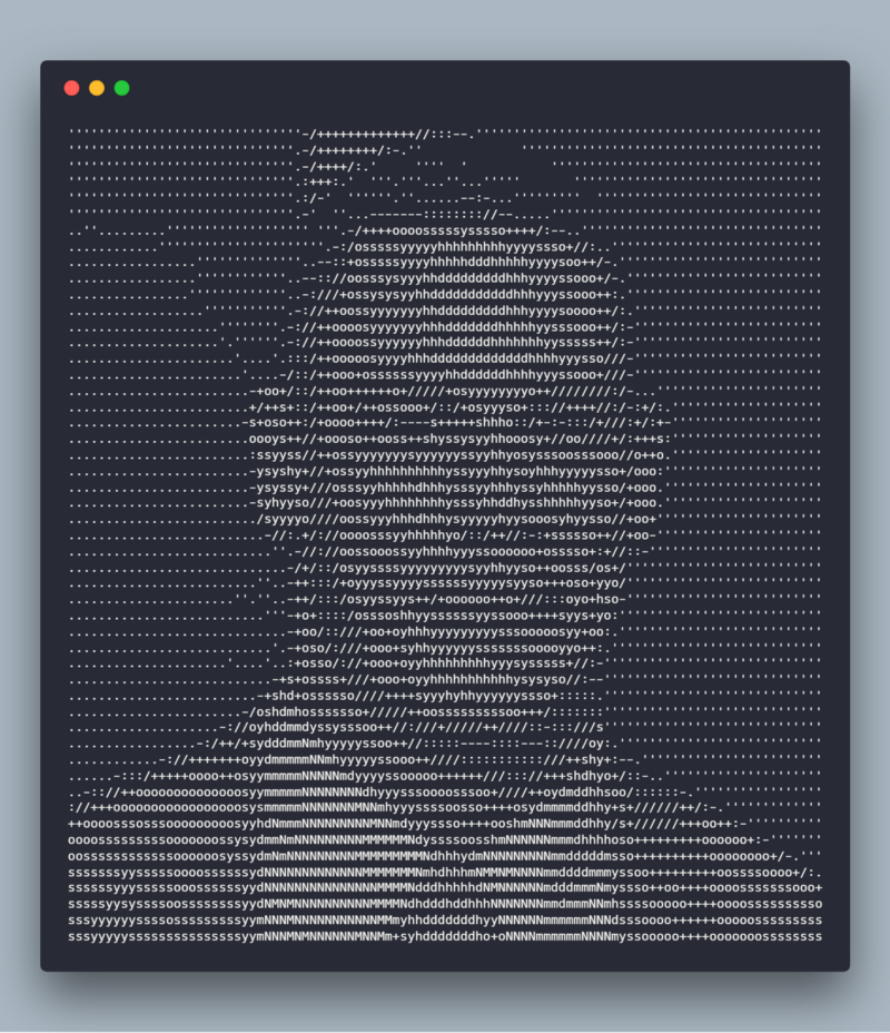 John Cena’s beautiful face in ASCII art